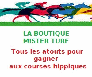 Boutique Mister Turf